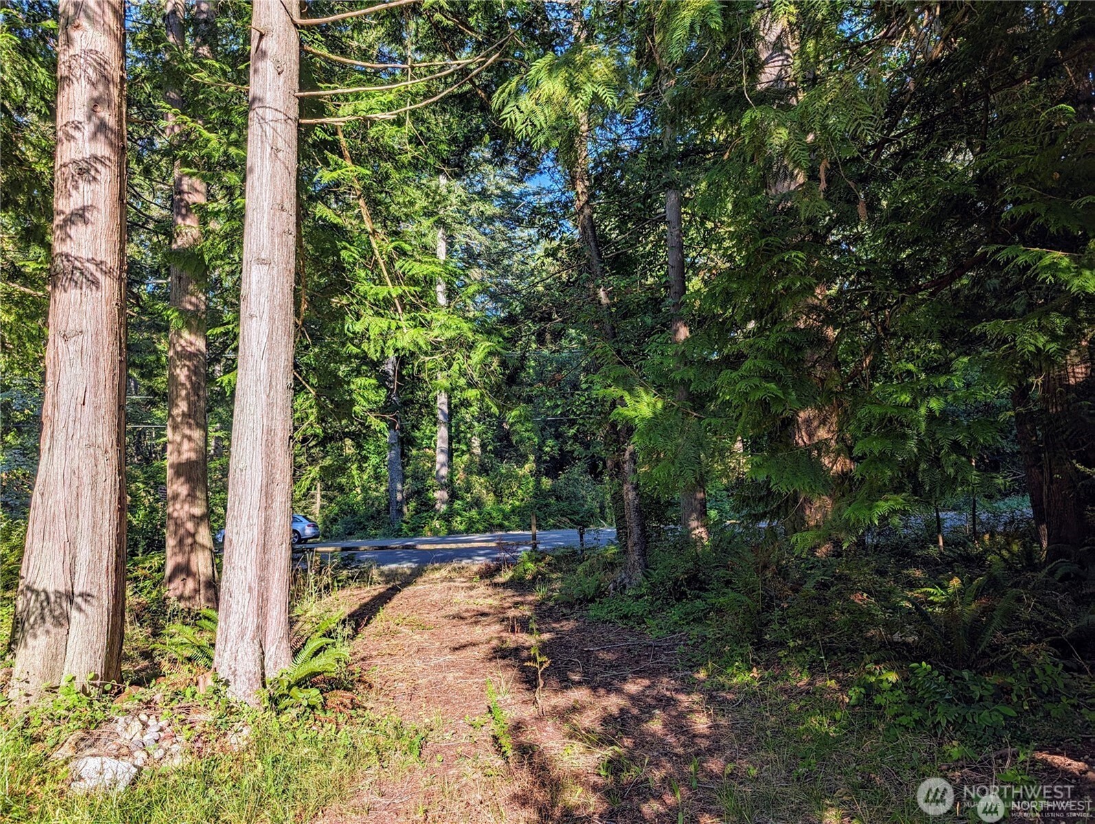 168 Tyee Drive Point Roberts, WA 98281 - Photo 15 of 17 a view of backyard