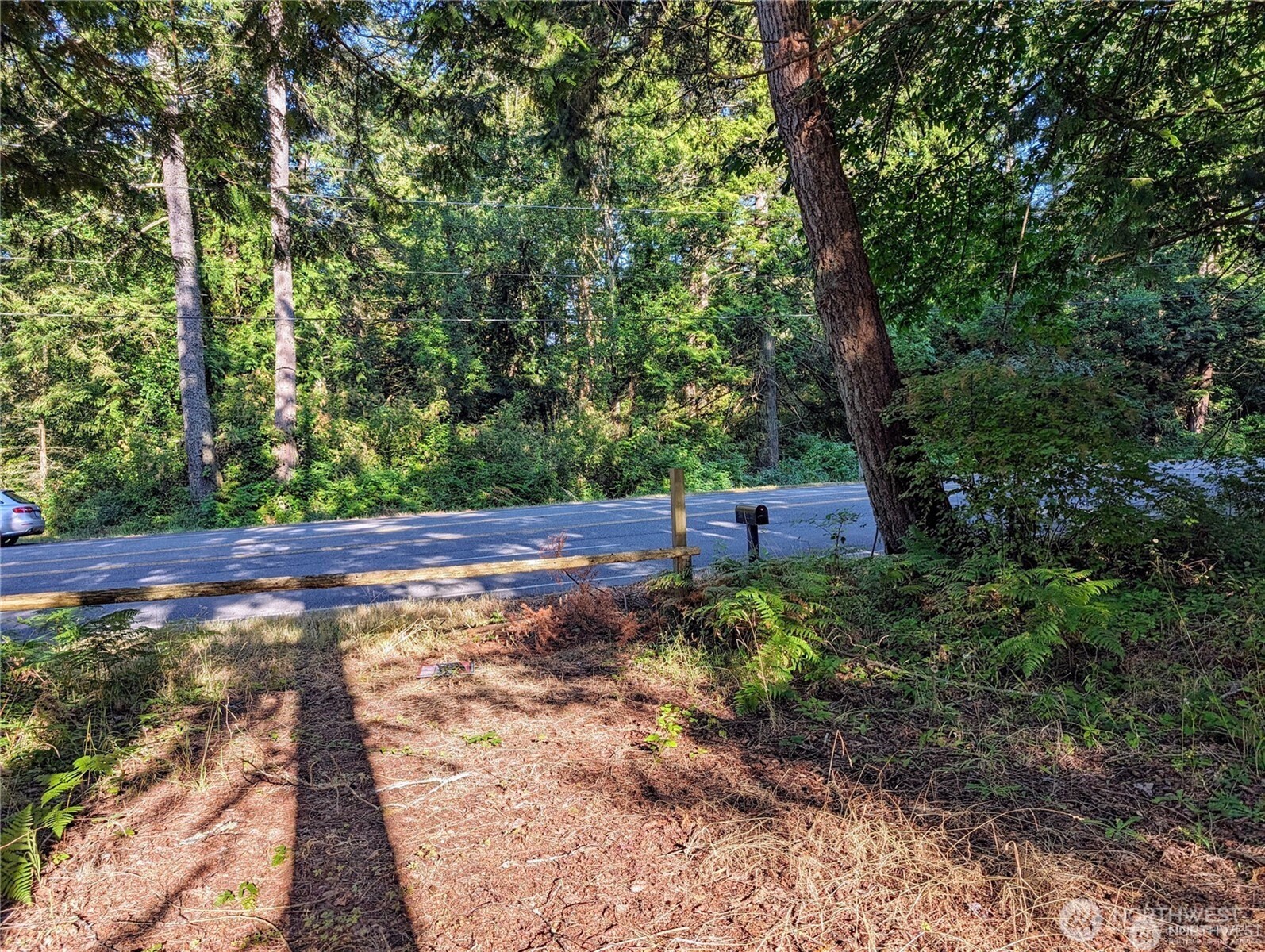 168 Tyee Drive Point Roberts, WA 98281 - Photo 16 of 17 a backyard of a house with lots of green space