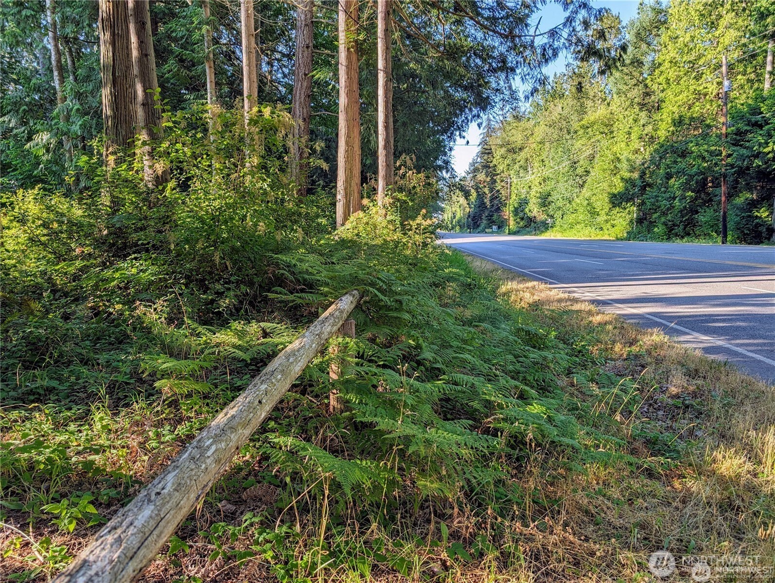 168 Tyee Drive Point Roberts, WA 98281 - Photo 17 of 17 a view of outdoor space and yard