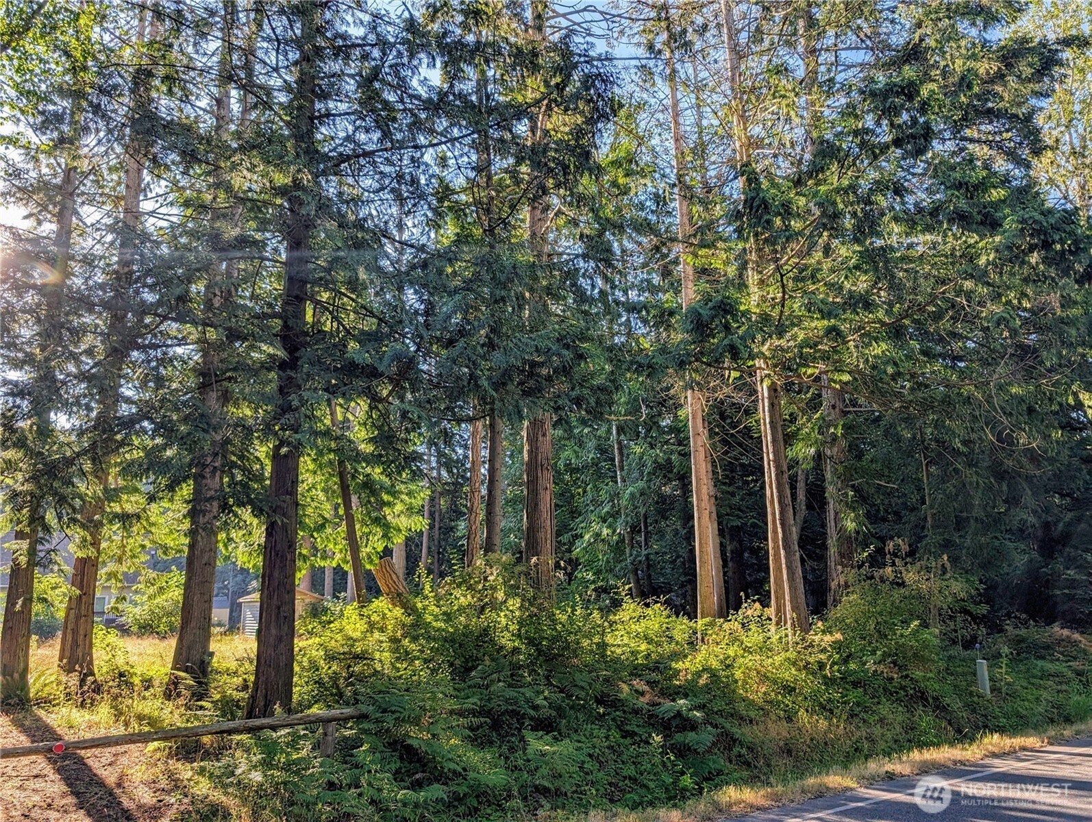 168 Tyee Drive Point Roberts, WA 98281 - Photo 2 of 17