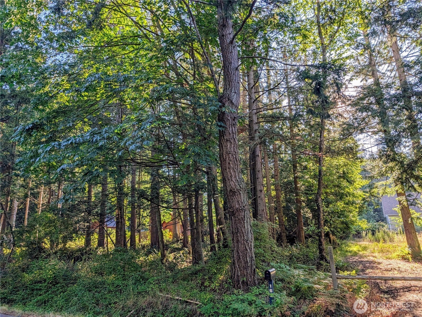 168 Tyee Drive Point Roberts, WA 98281 - Photo 3 of 17 a view of outdoor space and yard