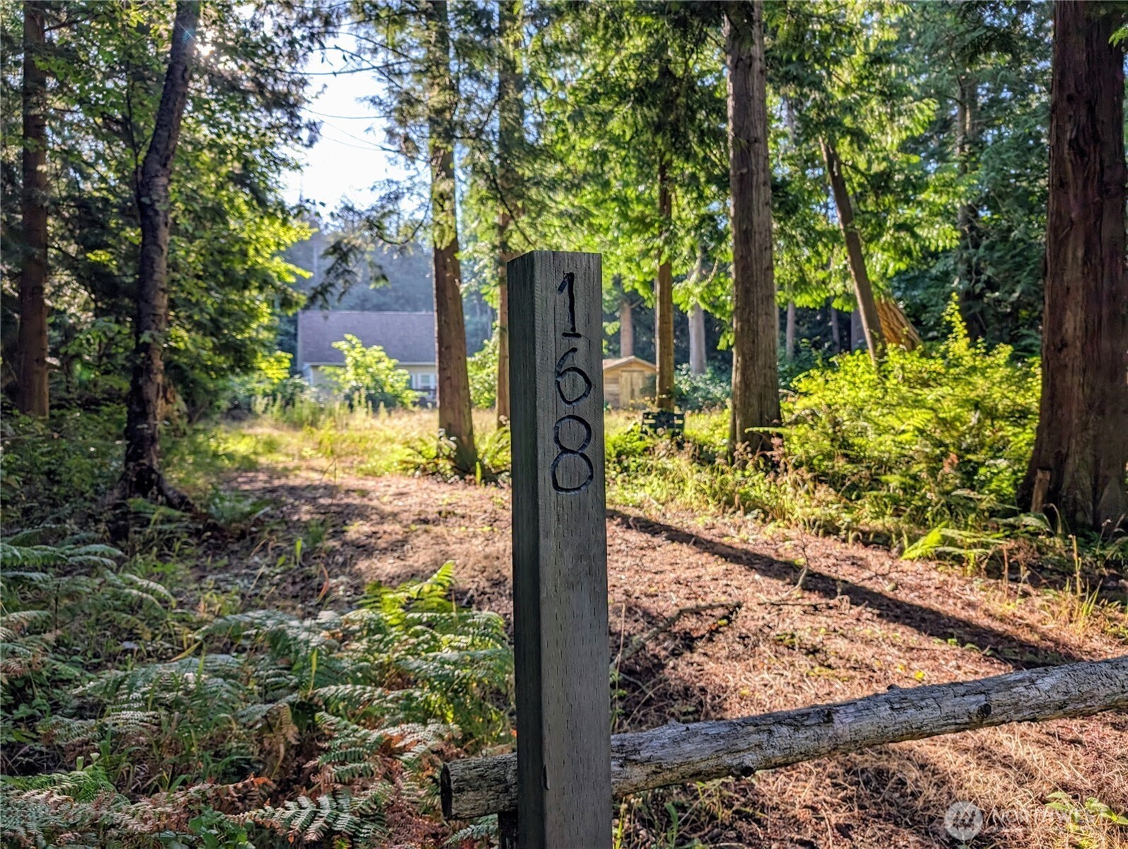 168 Tyee Drive Point Roberts, WA 98281 - Photo 4 of 17 a view of a yard with plants and trees