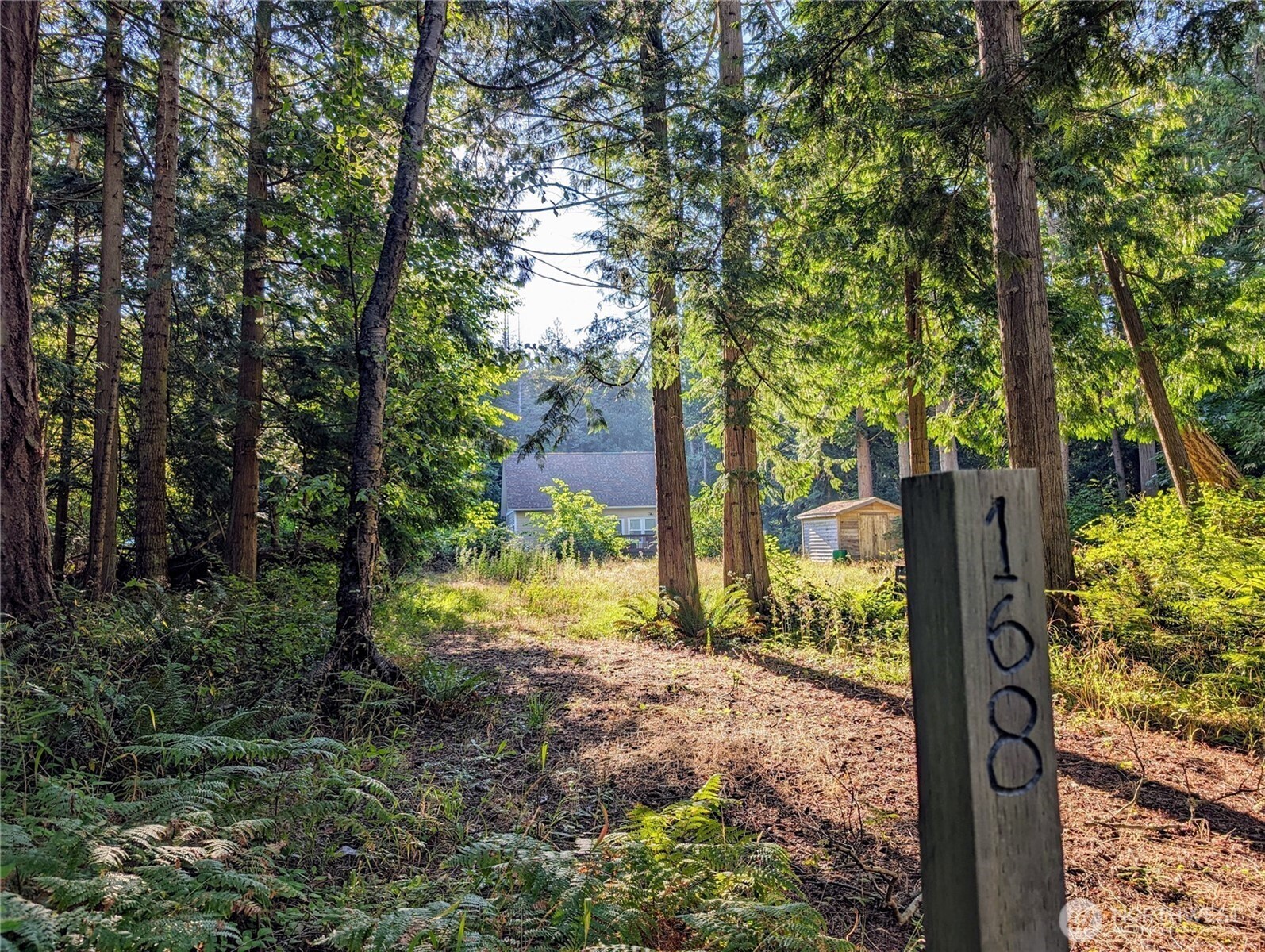 168 Tyee Drive Point Roberts, WA 98281 - Photo 5 of 17 a view of a yard with plants and large trees
