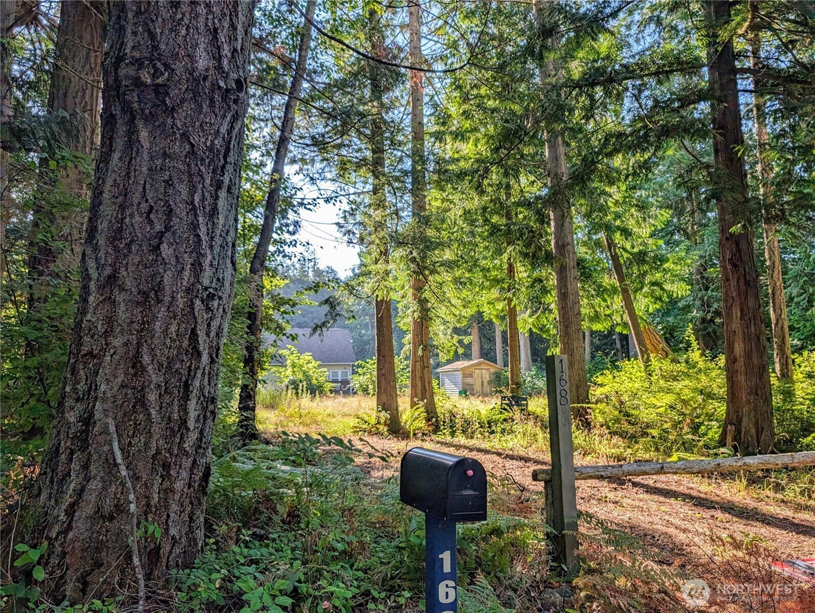 168 Tyee Drive Point Roberts, WA 98281 - Photo 6 of 17 a backyard of a house with lots of green space