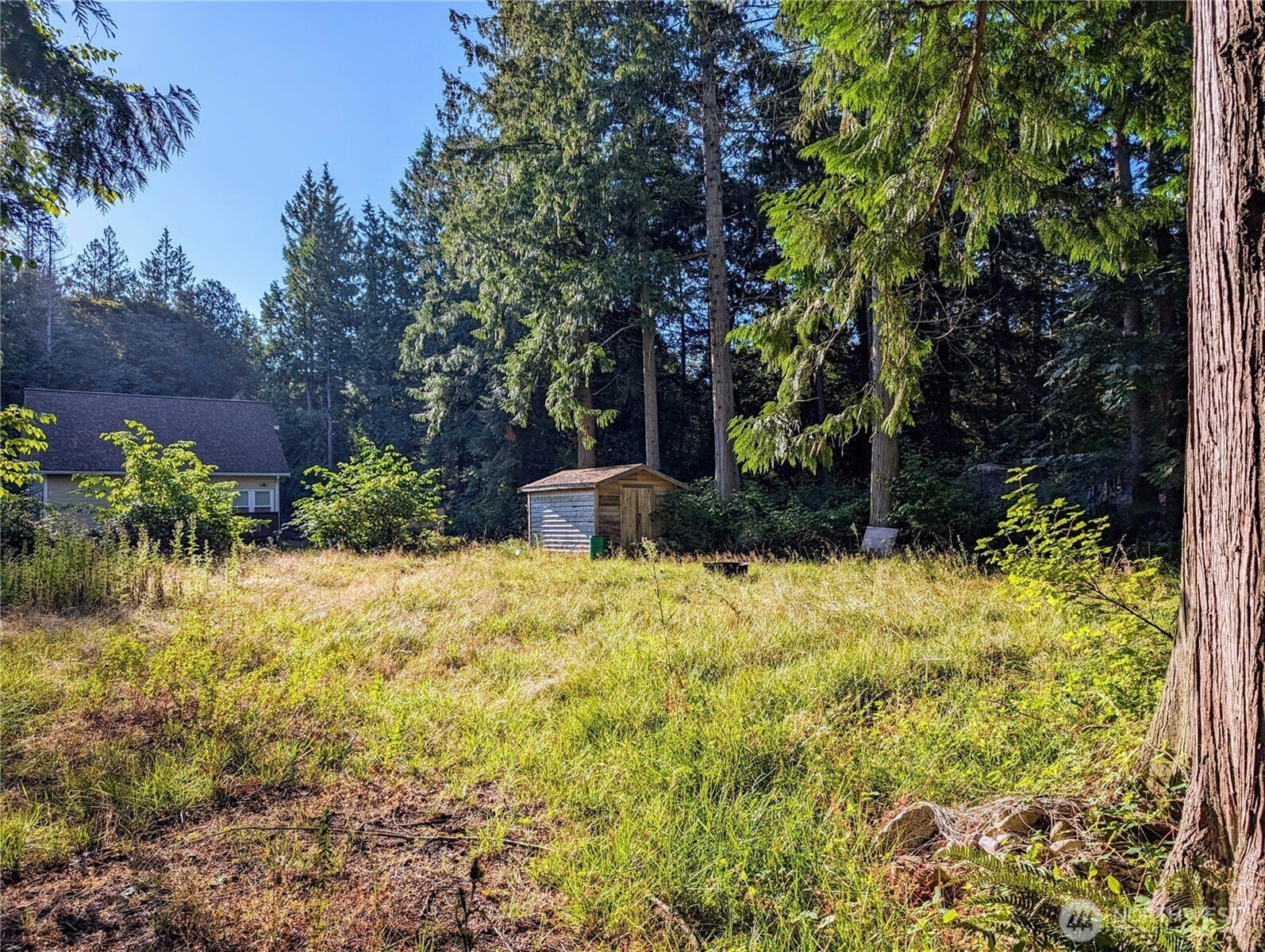 168 Tyee Drive Point Roberts, WA 98281 - Photo 7 of 17 a view of a garden with plants