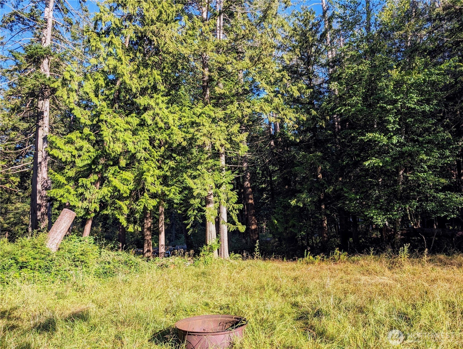 168 Tyee Drive Point Roberts, WA 98281 - Photo 9 of 17