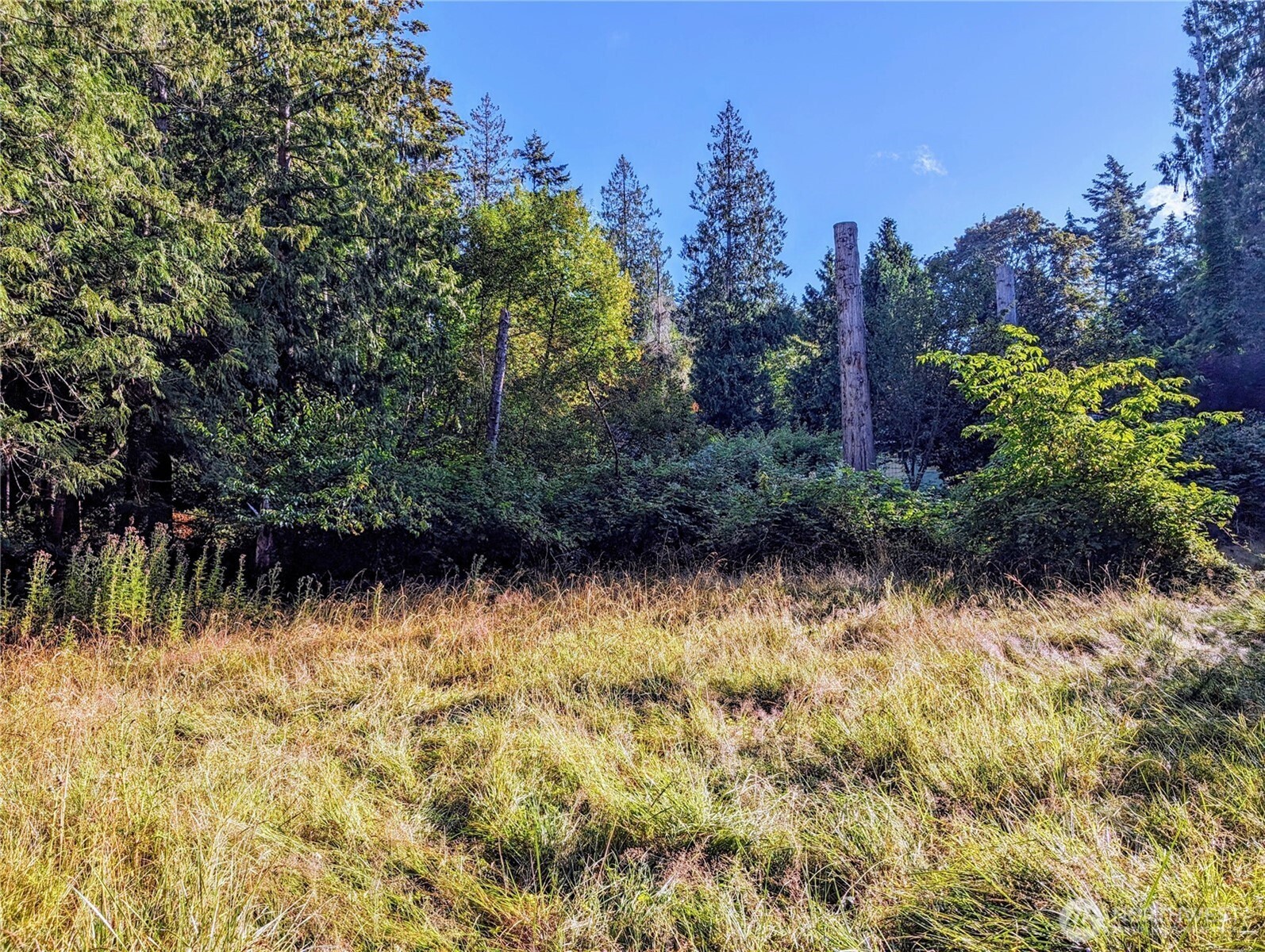 168 Tyee Drive Point Roberts, WA 98281 - Photo 10 of 17 a view of a garden