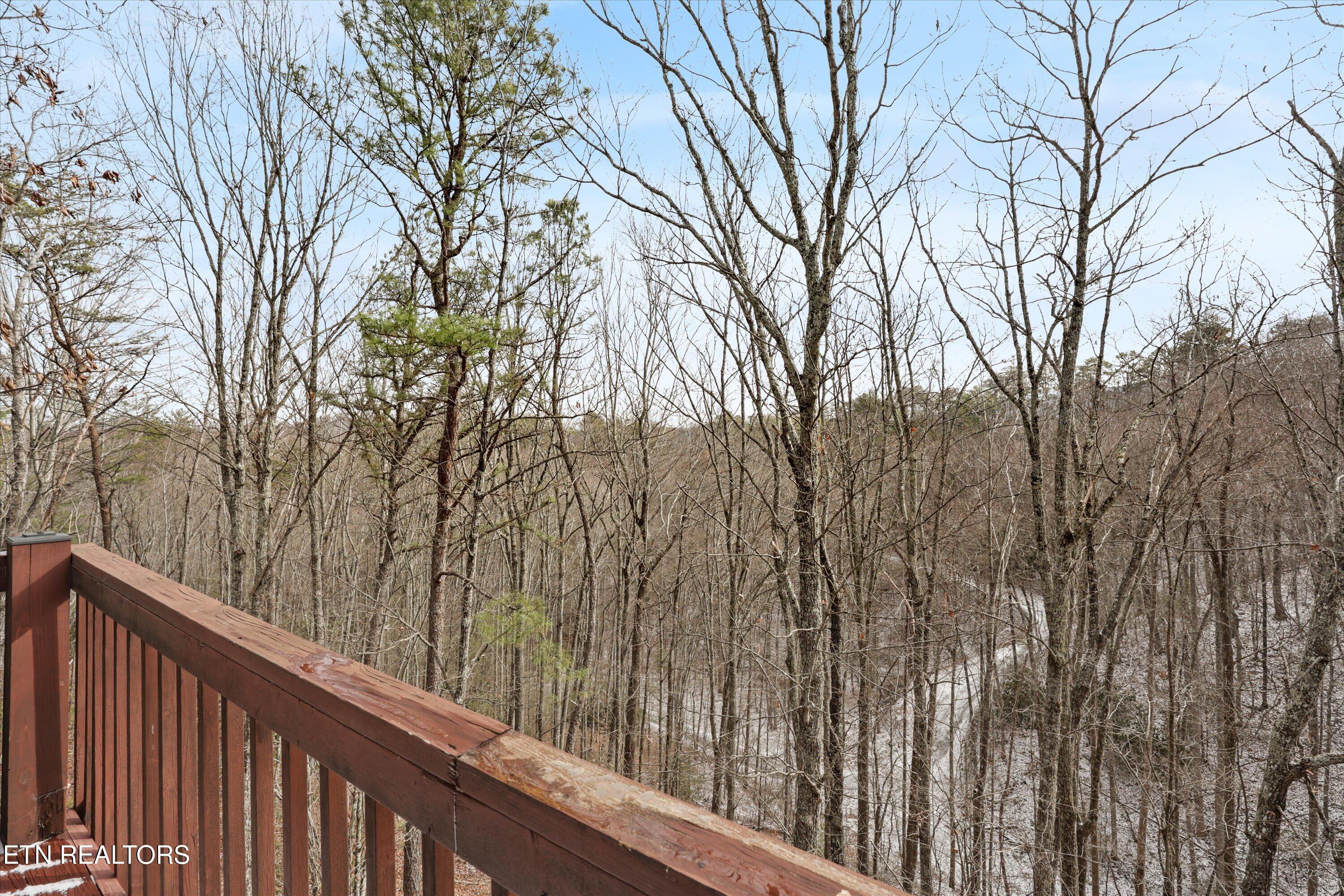 4224 Chamberlain Lane Sevierville, TN 37862 - Photo 10 of 26 20-4224 Chamberlain Ln 15