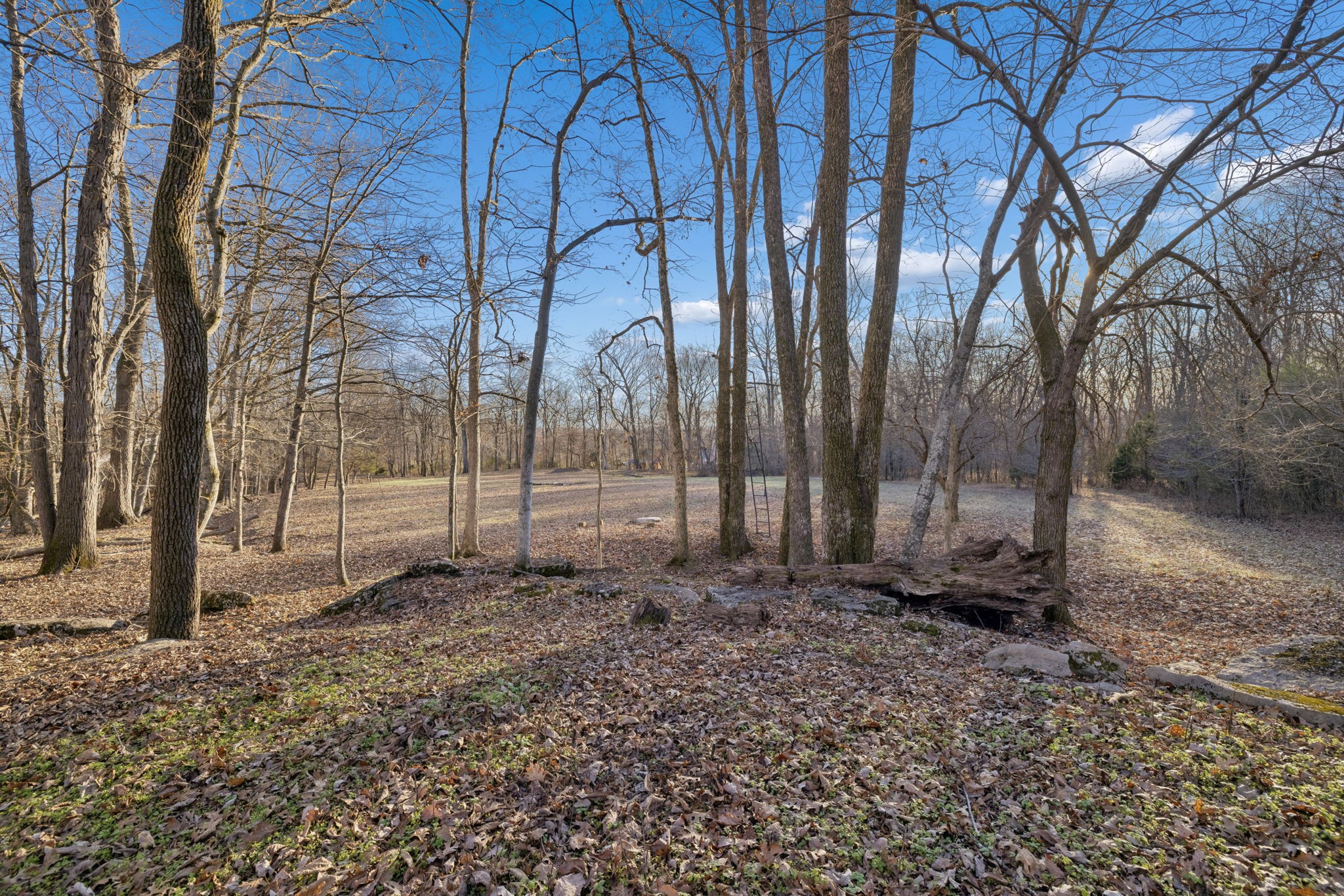 1366 Iron Bridge Road Columbia, TN 38401 - Photo 41 of 43