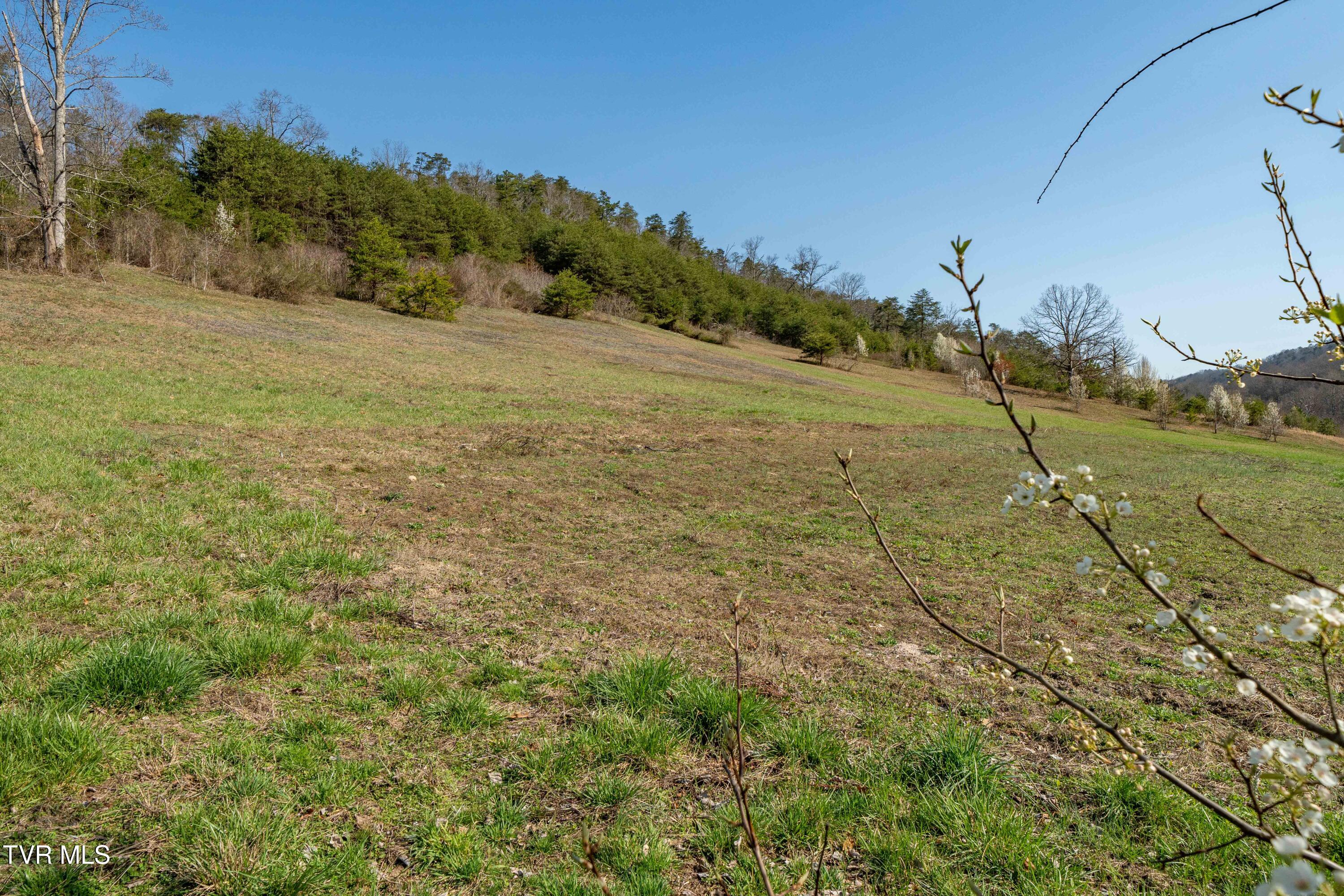 3546 Goshen Valley Road Rogersville, TN 37857 - Photo 19 of 61 301 Seay Hollow Road (52 of 82) - Copy -
