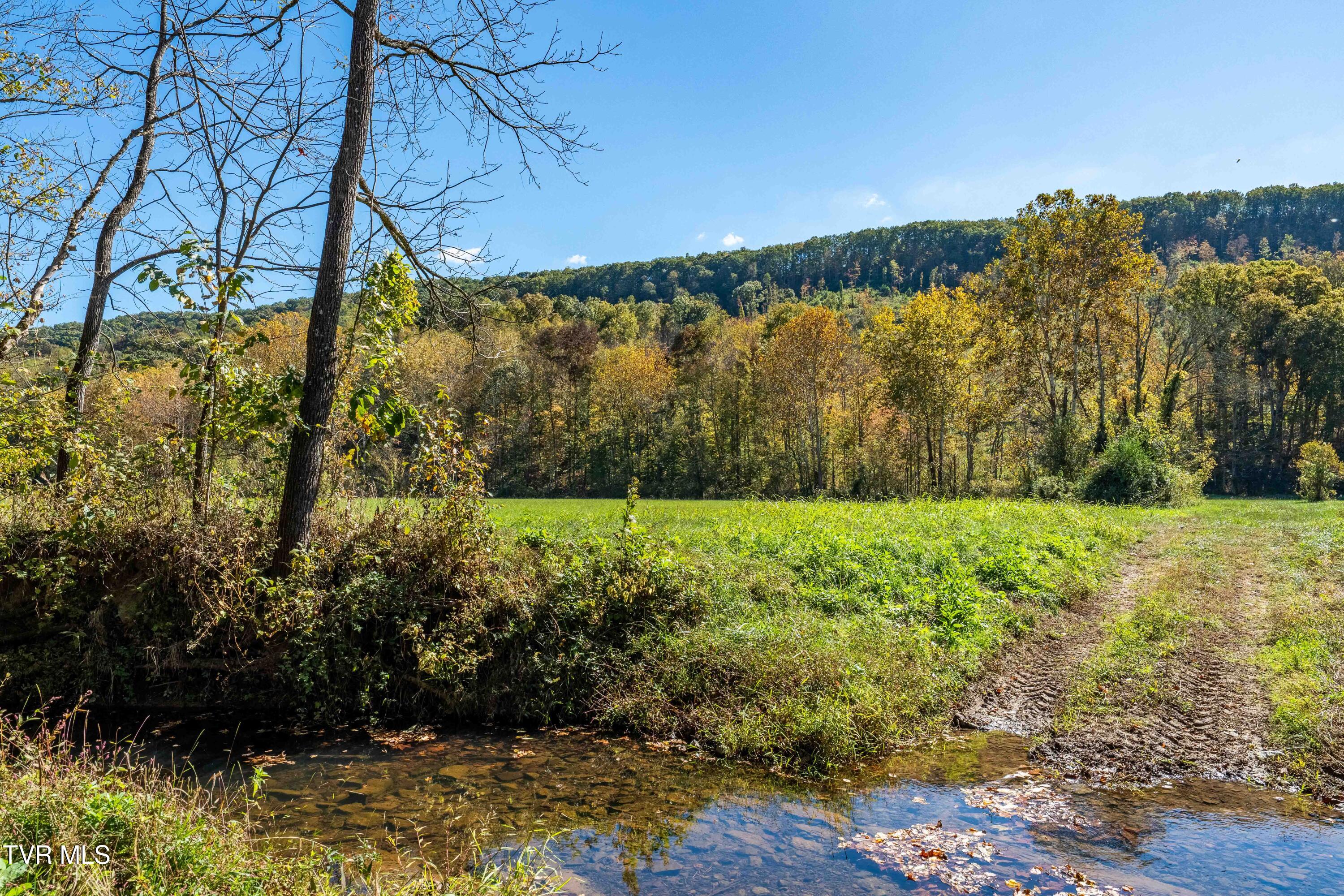 3546 Goshen Valley Road Rogersville, TN 37857 - Photo 24 of 61 3546 Goshen Valley Rd (71 of 116)