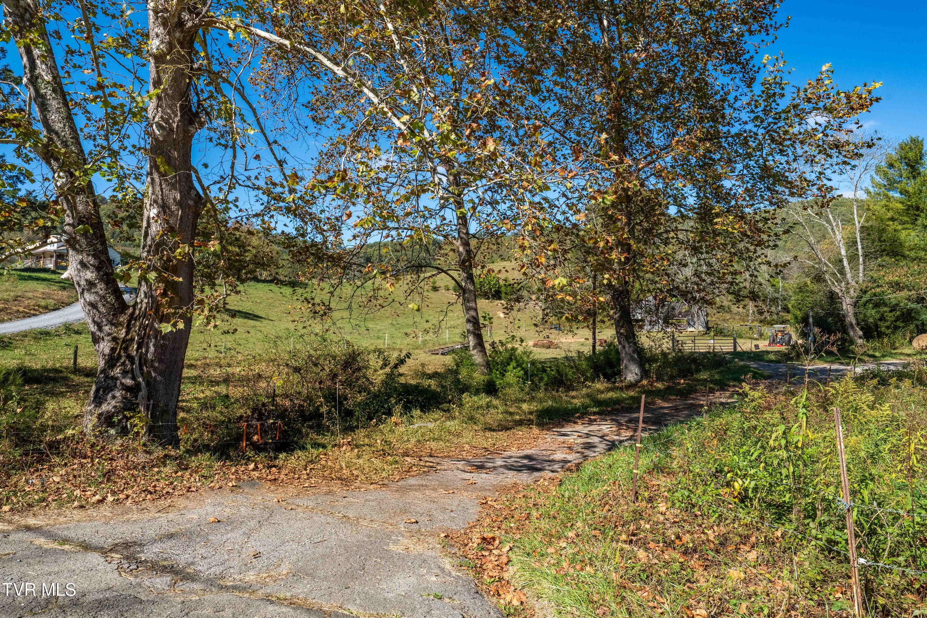 3546 Goshen Valley Road Rogersville, TN 37857 - Photo 28 of 61 3546 Goshen Valley Rd (67 of 116)