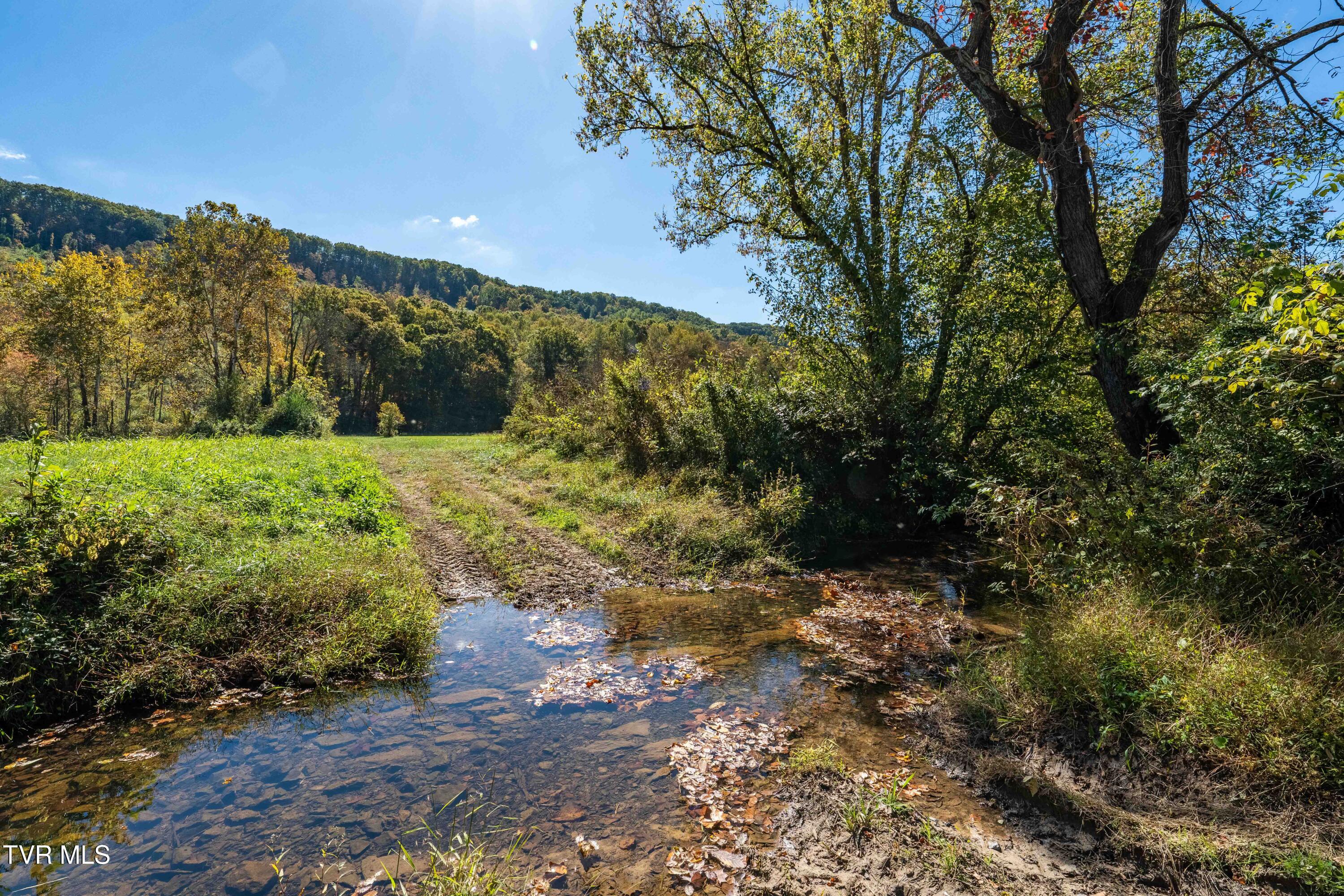 3546 Goshen Valley Road Rogersville, TN 37857 - Photo 31 of 61 3546 Goshen Valley Rd (73 of 116)