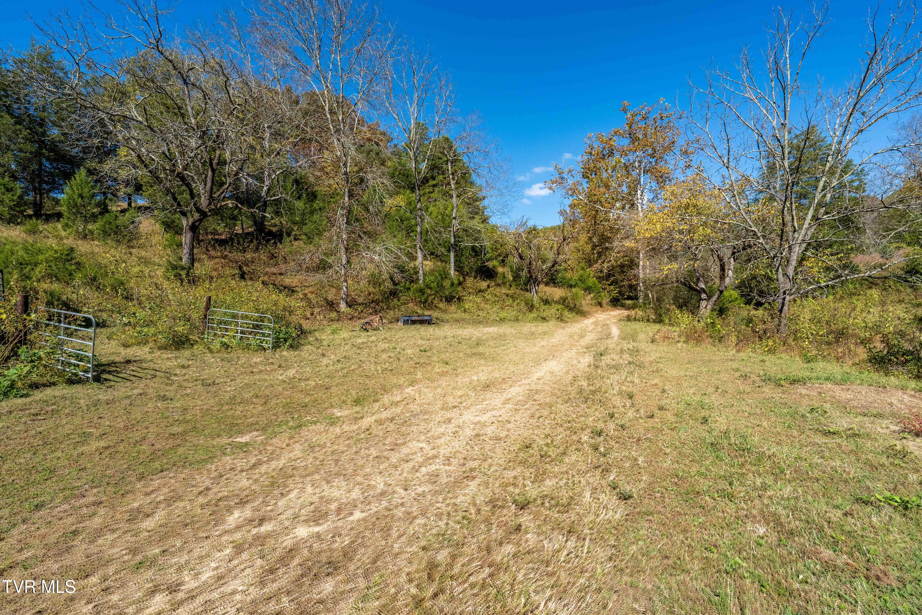 3546 Goshen Valley Road Rogersville, TN 37857 - Photo 40 of 61 3546 Goshen Valley Rd (89 of 116)
