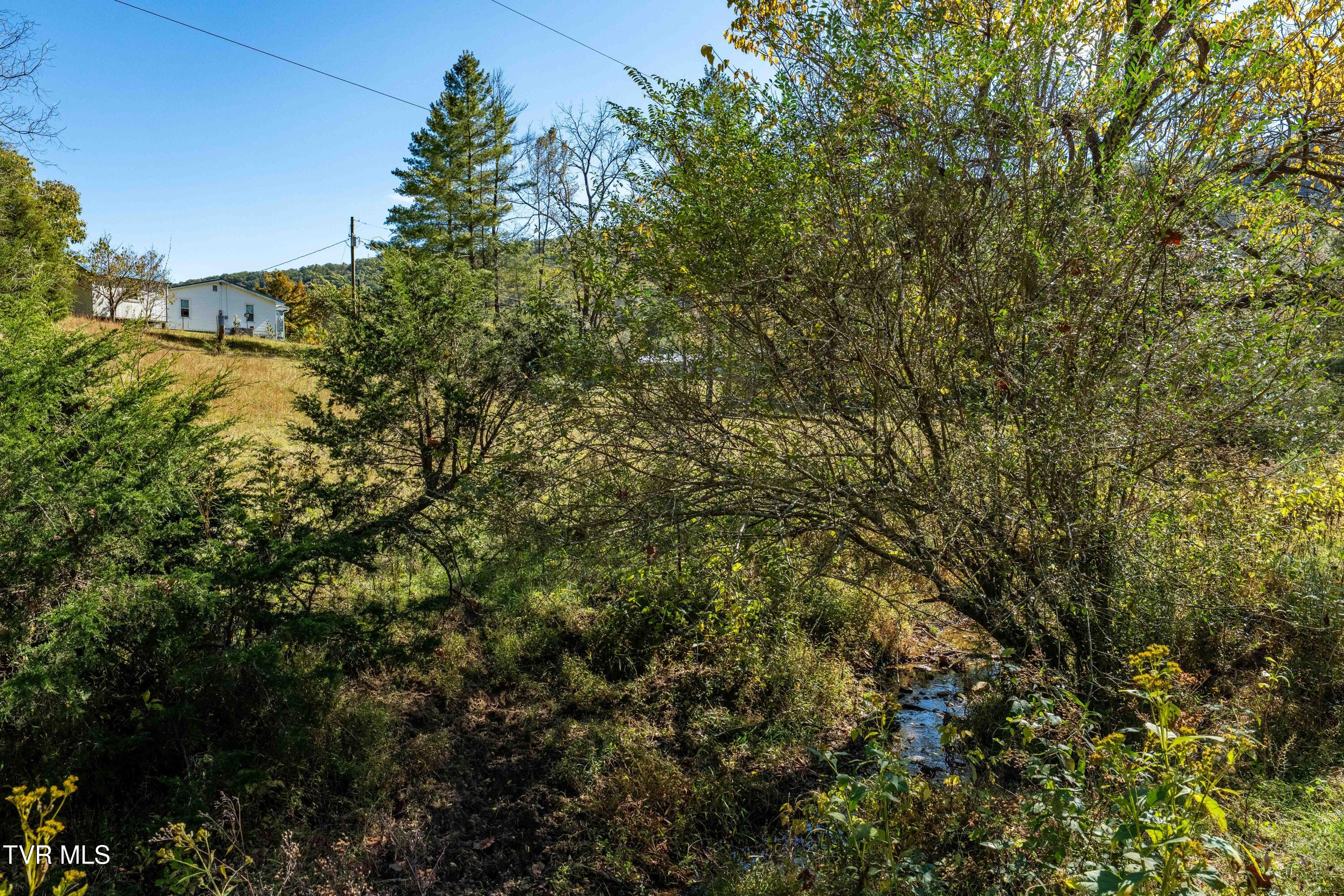 3546 Goshen Valley Road Rogersville, TN 37857 - Photo 41 of 61 3546 Goshen Valley Rd (91 of 116)