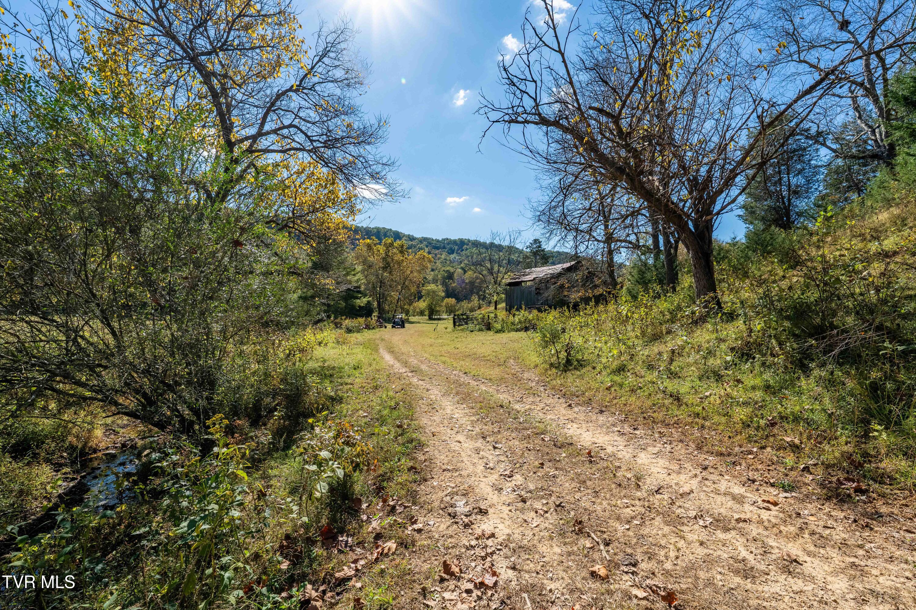 3546 Goshen Valley Road Rogersville, TN 37857 - Photo 42 of 61 3546 Goshen Valley Rd (92 of 116)