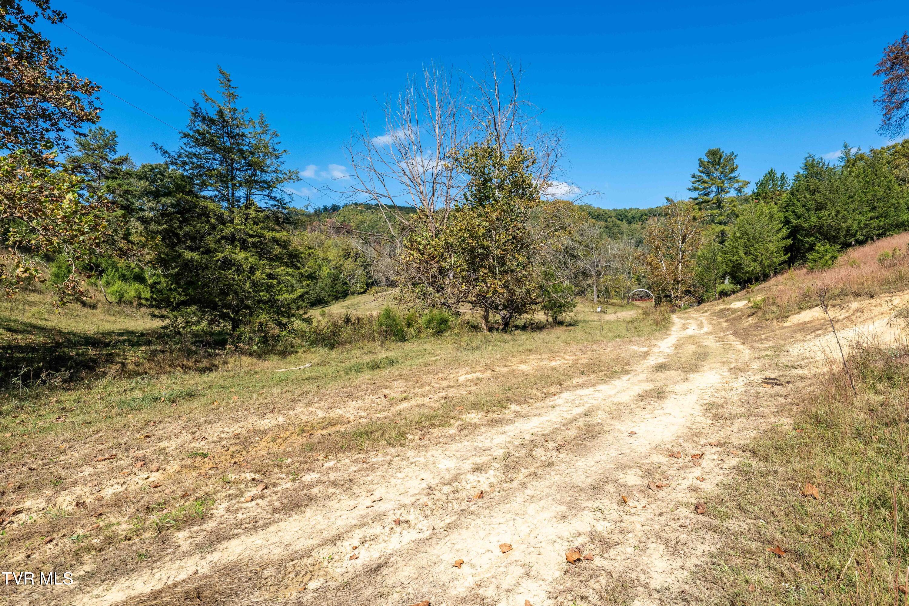 3546 Goshen Valley Road Rogersville, TN 37857 - Photo 43 of 61 3546 Goshen Valley Rd (94 of 116)