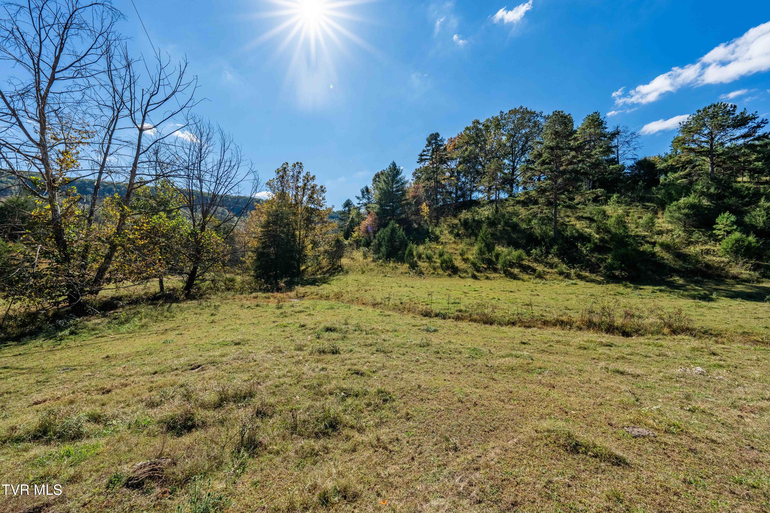 3546 Goshen Valley Road Rogersville, TN 37857 - Photo 54 of 61 3546 Goshen Valley Rd (114 of 116)