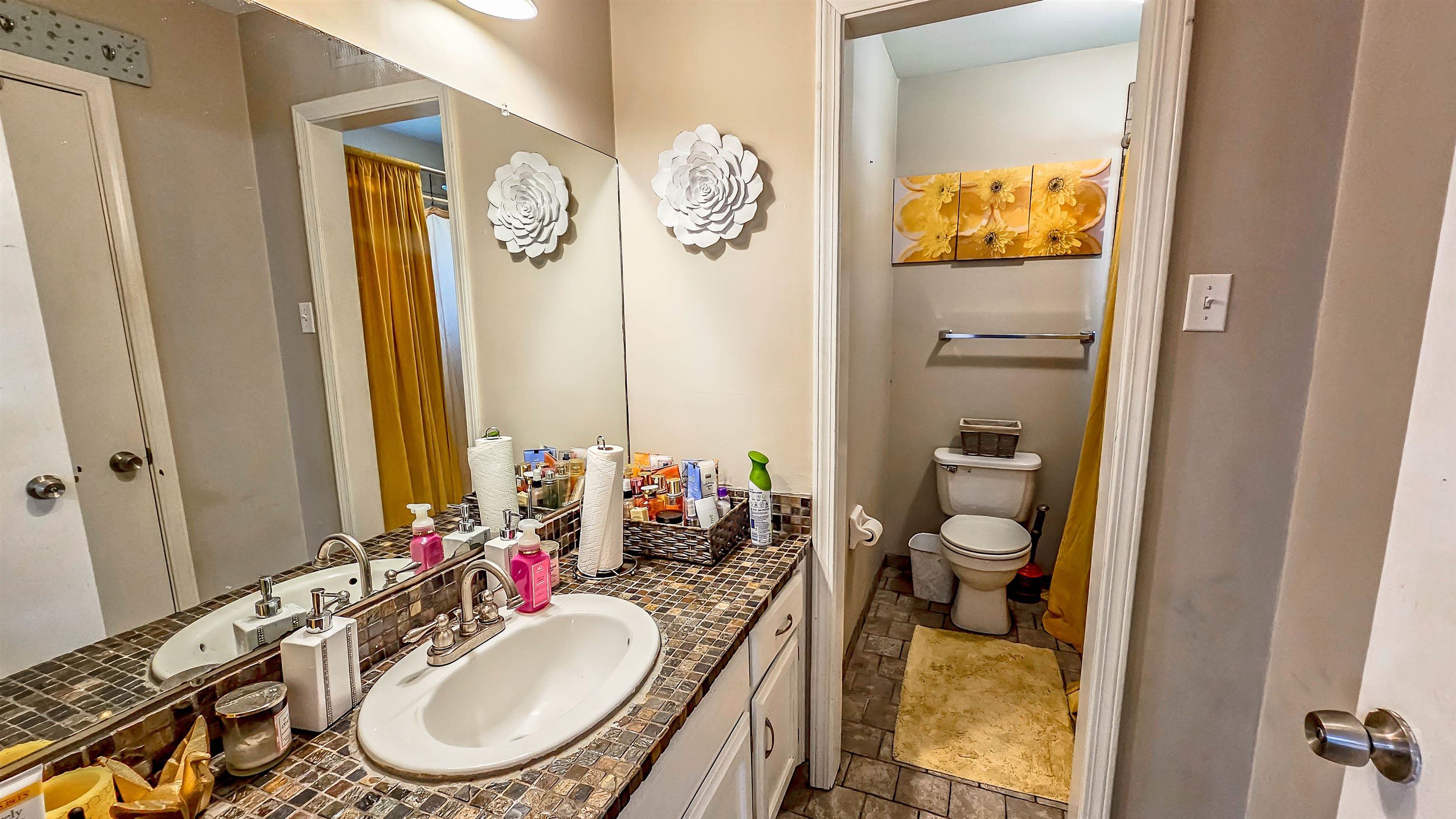 3735 Rippling Creek Cove Memphis, TN 38135 - Photo 18 of 28 a bathroom with a sink mirror and toilet