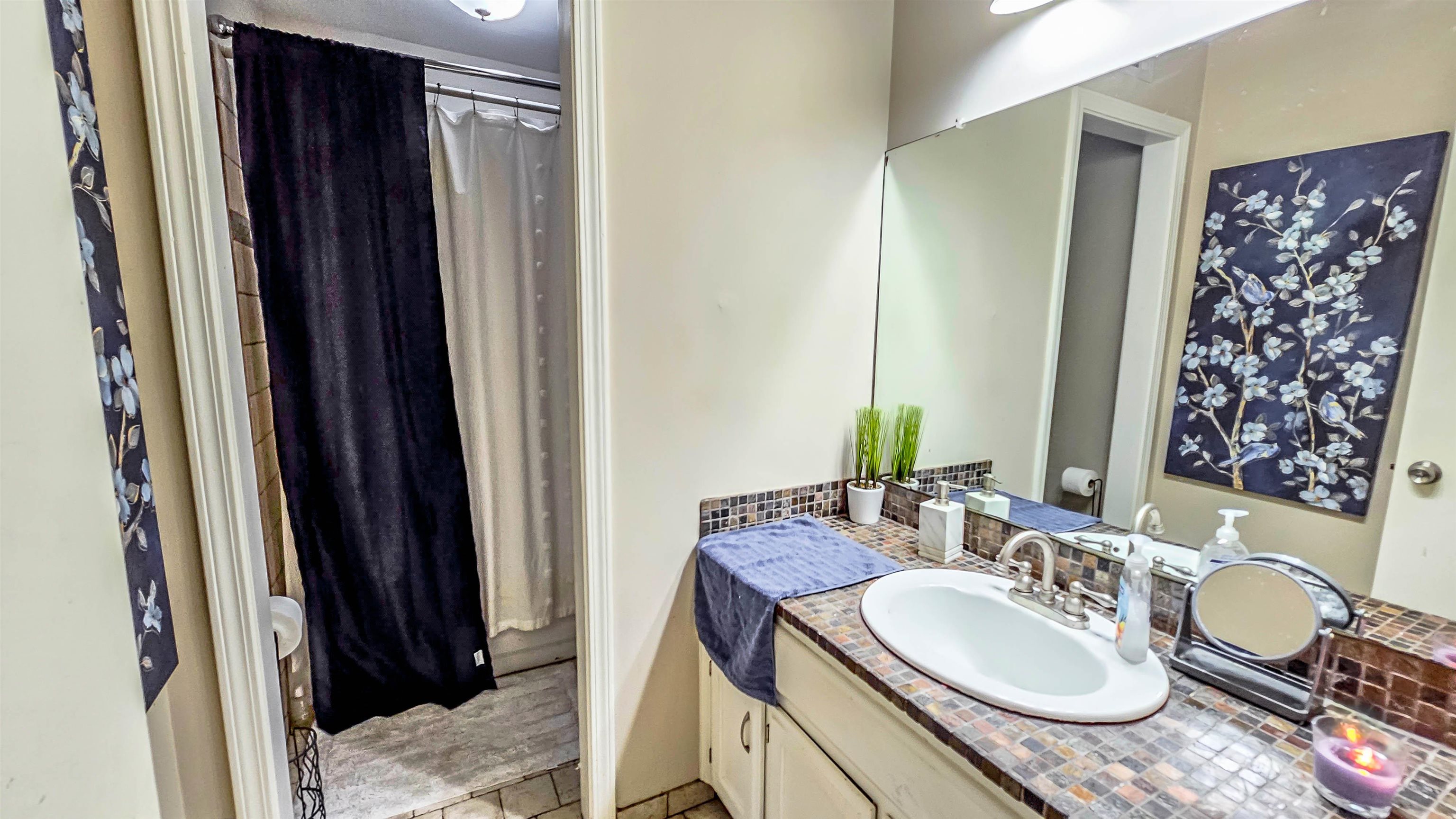 3735 Rippling Creek Cove Memphis, TN 38135 - Photo 28 of 28 a bathroom with a granite countertop sink and a mirror