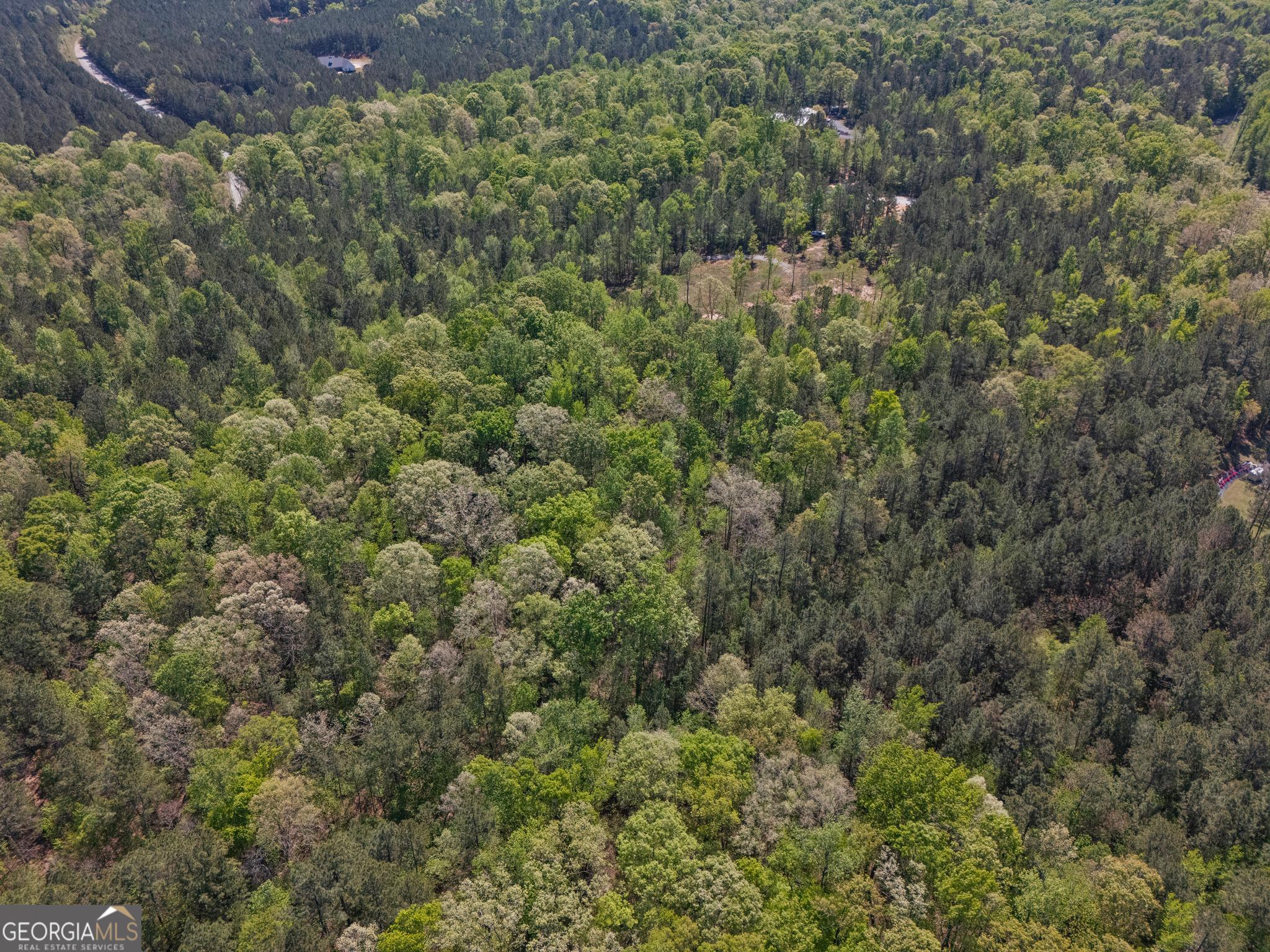 302 Goodwyne Road Forsyth, GA 31029 - Photo 3 of 17 a view of a forest with a street
