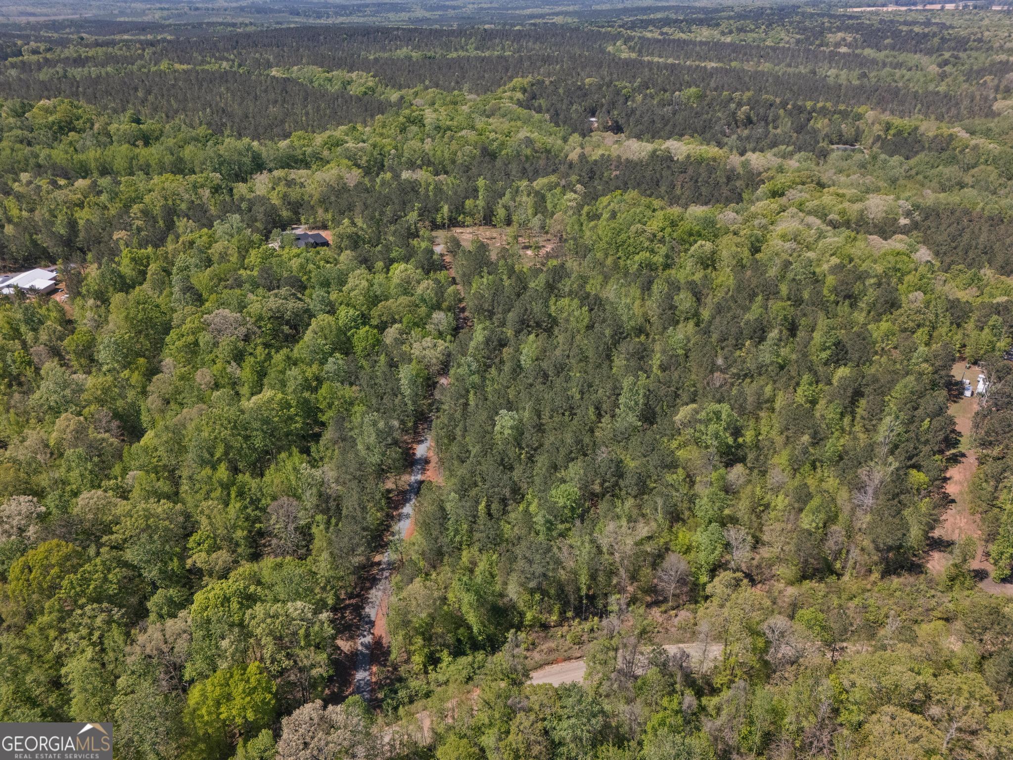 302 Goodwyne Road Forsyth, GA 31029 - Photo 4 of 17 a view of a forest with a street