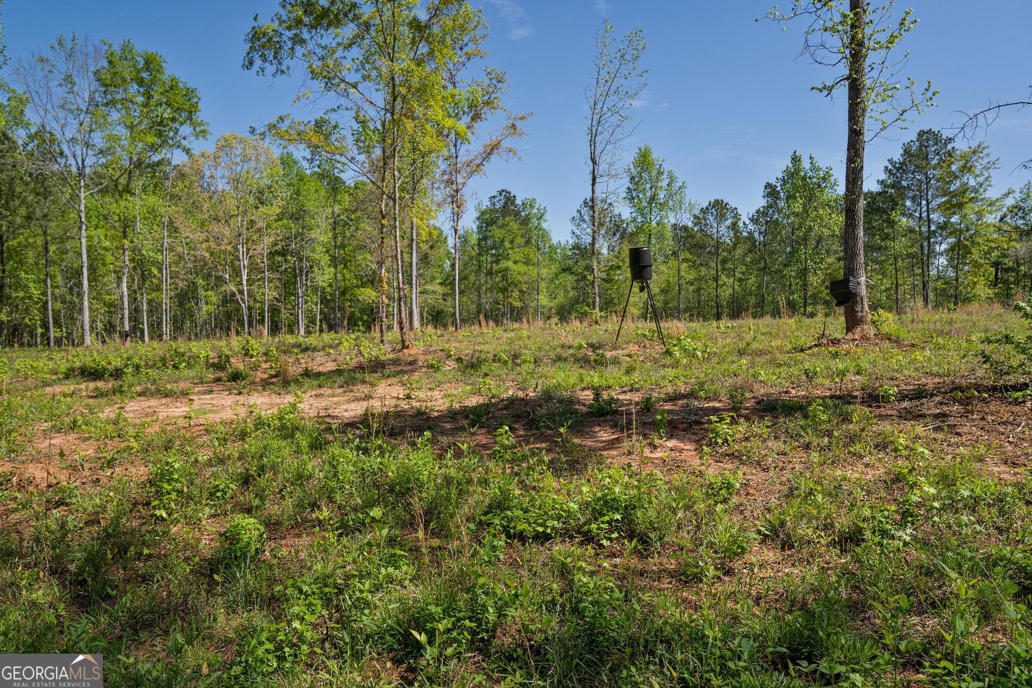 302 Goodwyne Road Forsyth, GA 31029 - Photo 9 of 17