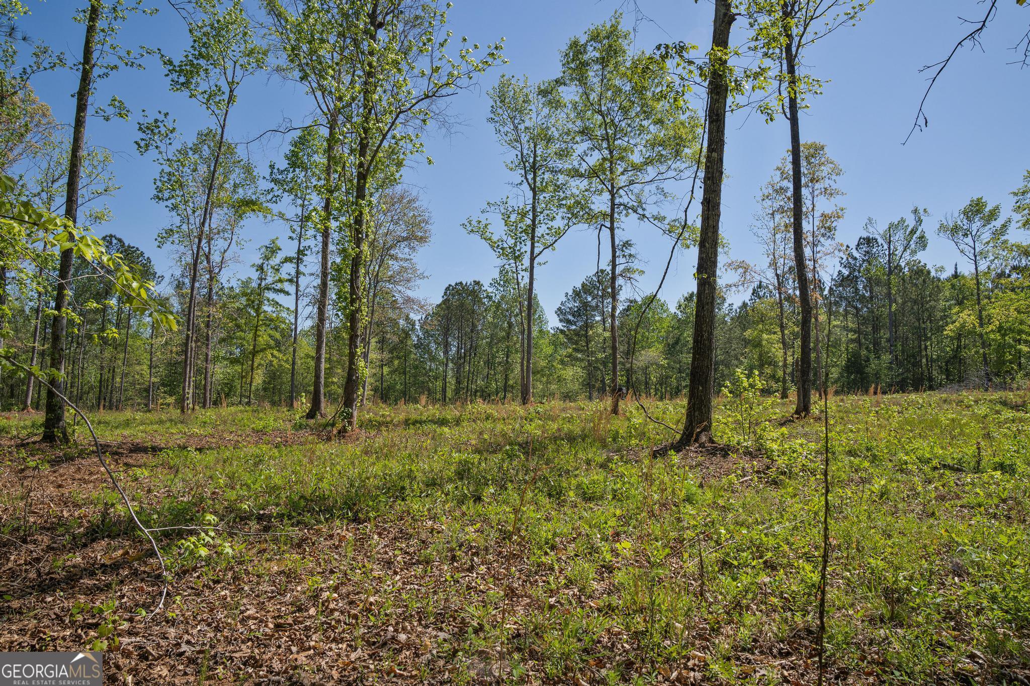 302 Goodwyne Road Forsyth, GA 31029 - Photo 10 of 17 a view of outdoor space and trees
