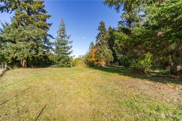 a backyard of a house with lots of green space