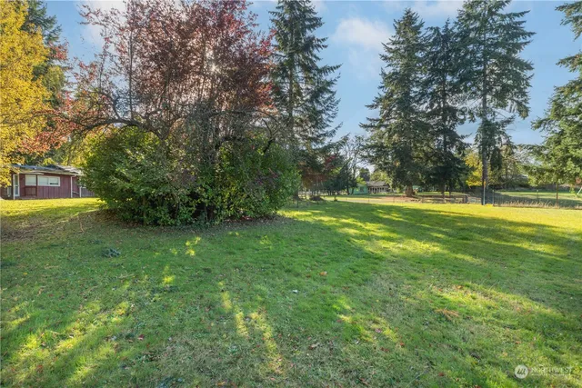 a view of backyard with green space