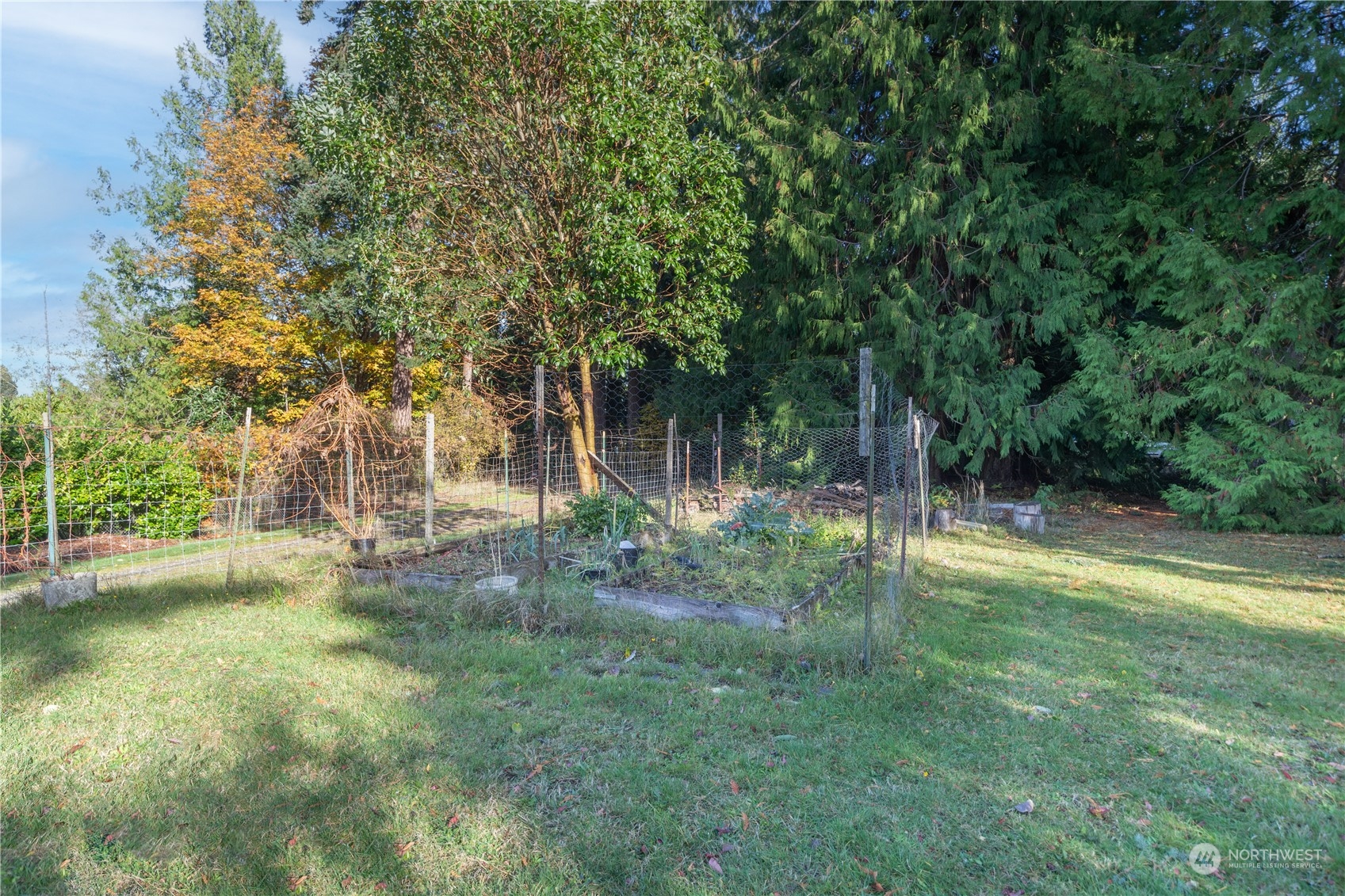 781 Irondale Road Port Hadlock, WA 98339 - Photo 18 of 28 a view of backyard with green space