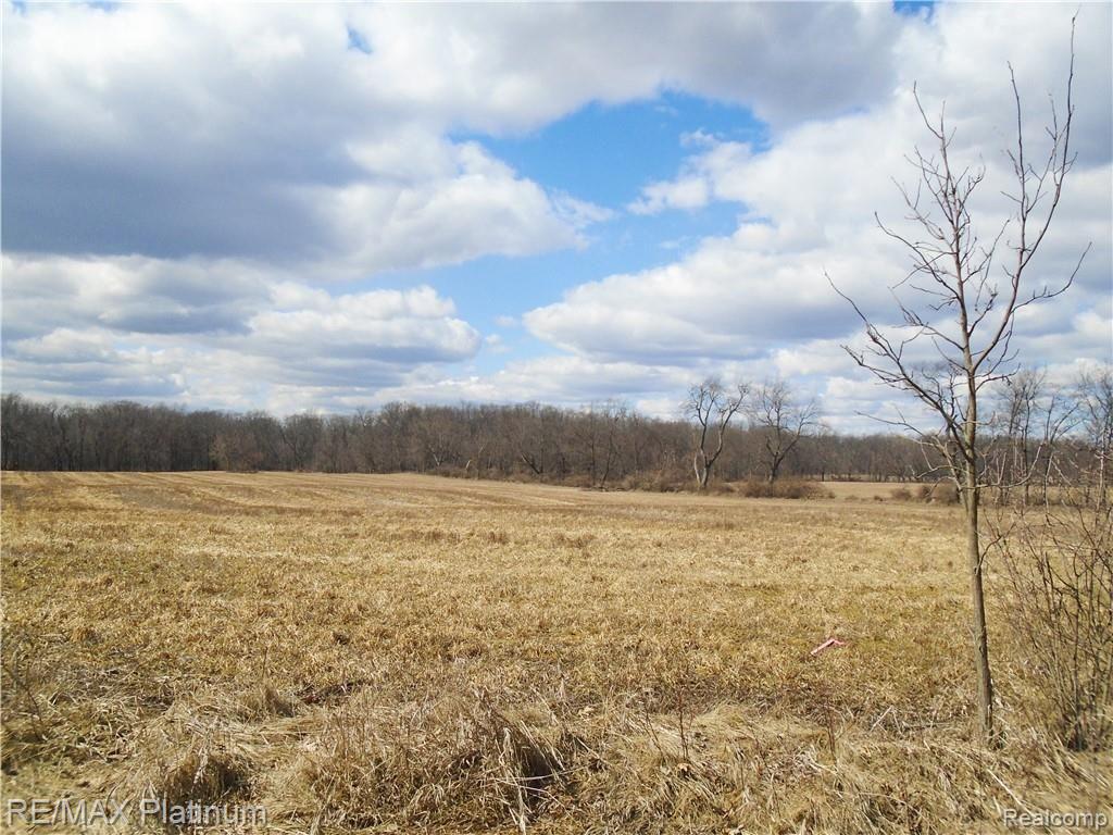 A 5 Hartland Road Fenton, MI 48430 - Photo 4 of 7