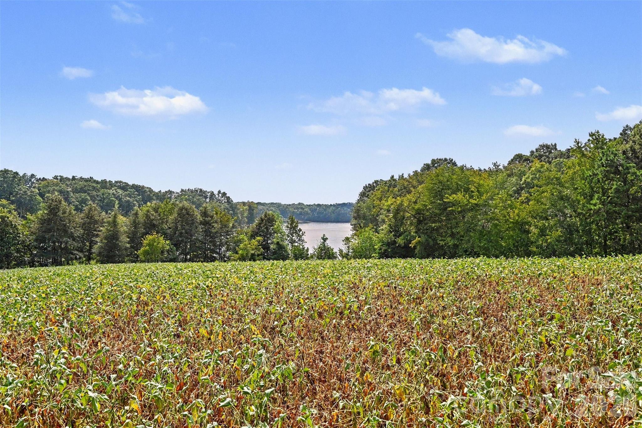 1448 Tomberlin Road Monroe, NC 28110 - Photo 11 of 23 Gallery Image 11