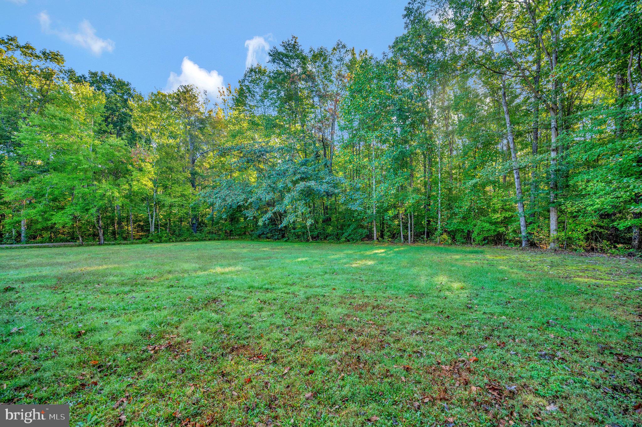 9863 Red Hill Road Spotsylvania, VA 22553 - Photo 47 of 53 a view of a lush green space