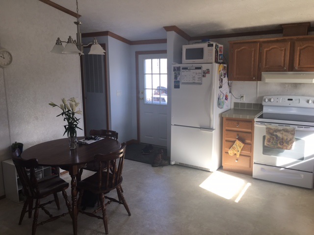 10423 North Rich Road Alma, MI 48801 - Photo 10 of 23 1814166-9.JPG