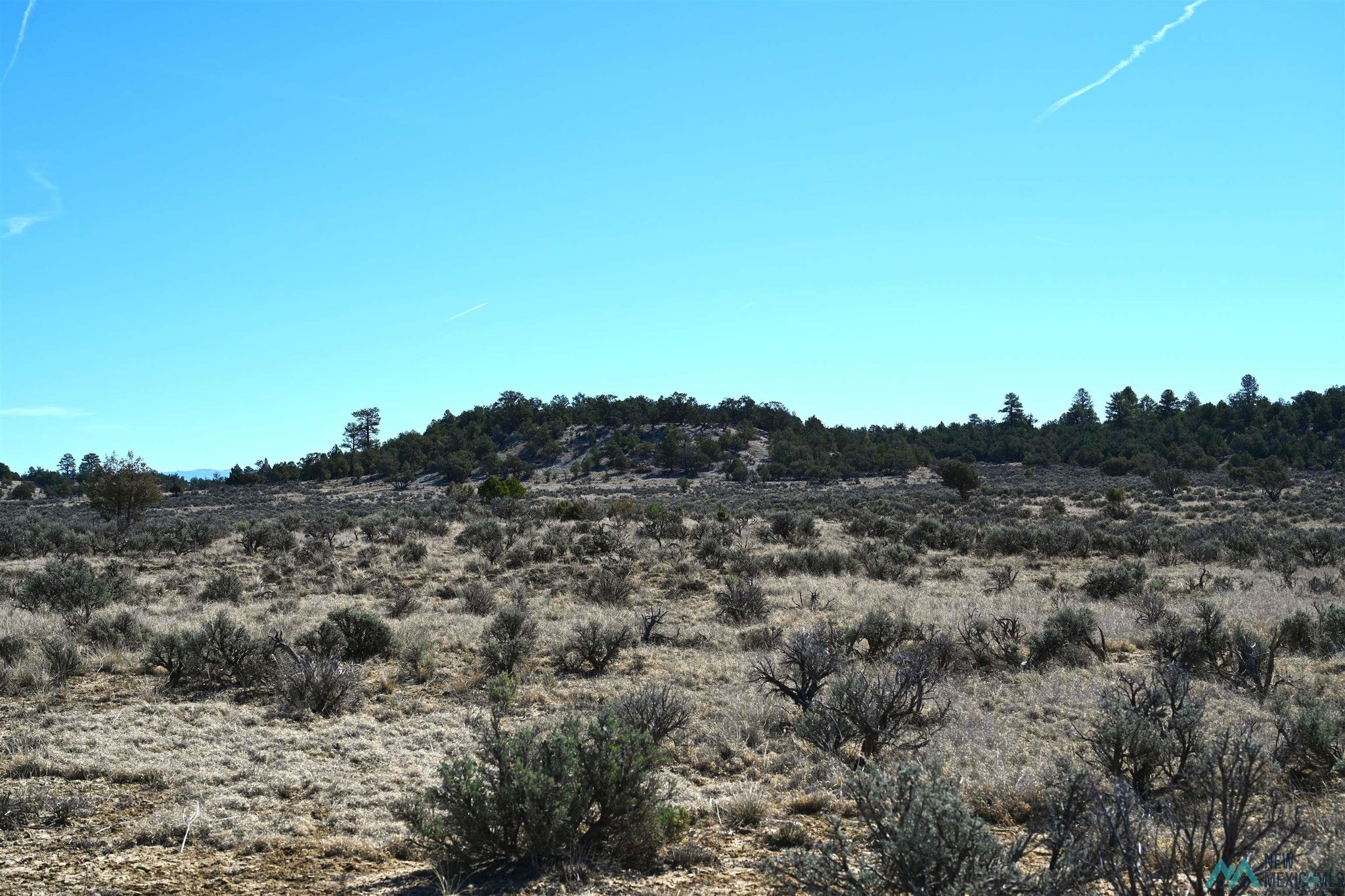 Pajarito Road Tierra Amarilla, NM 87575 - Photo 8 of 14 Gallery Image 8
