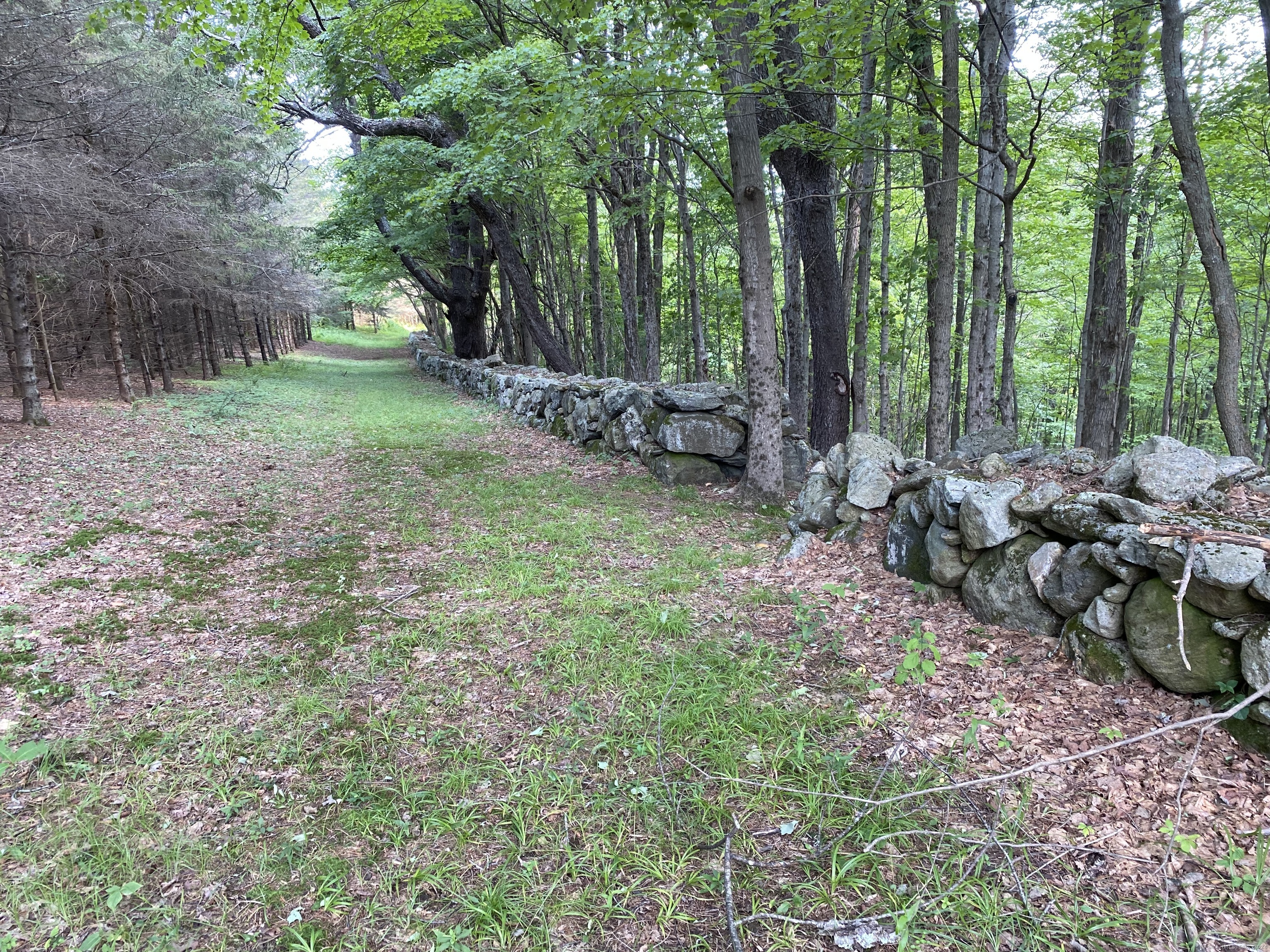 77 Deer Hill Road Colebrook, CT 06021 - Photo 18 of 26