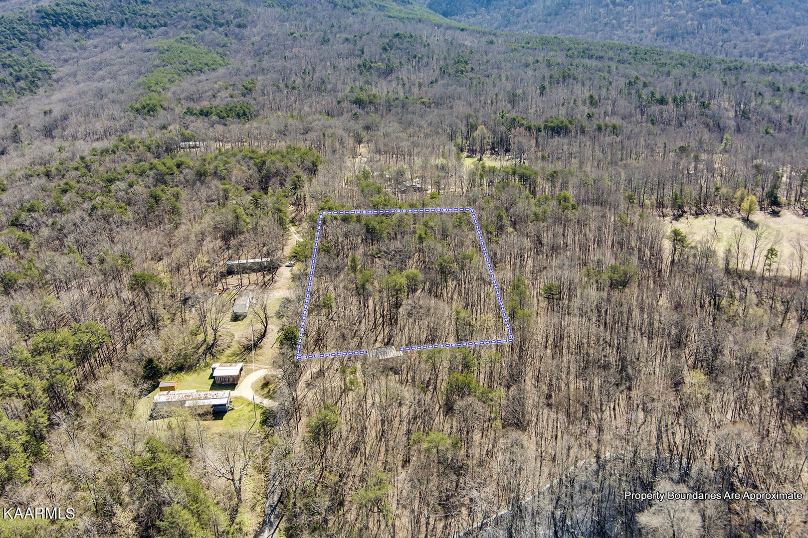 0 Wilcox Lane Delano, TN 37325 - Photo 10 of 14