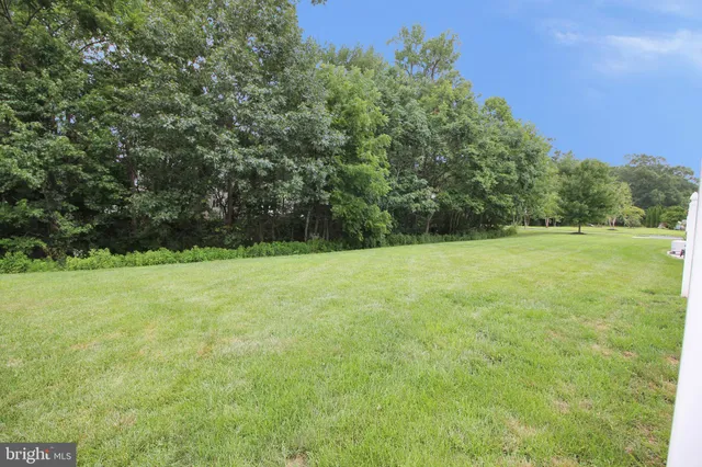 a view of a green field with trees in the background