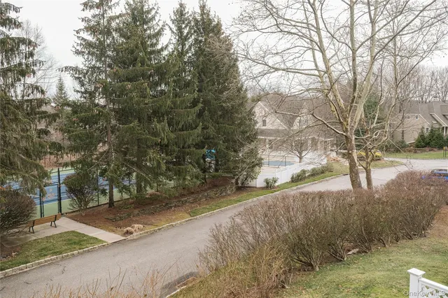 a view of a yard with trees