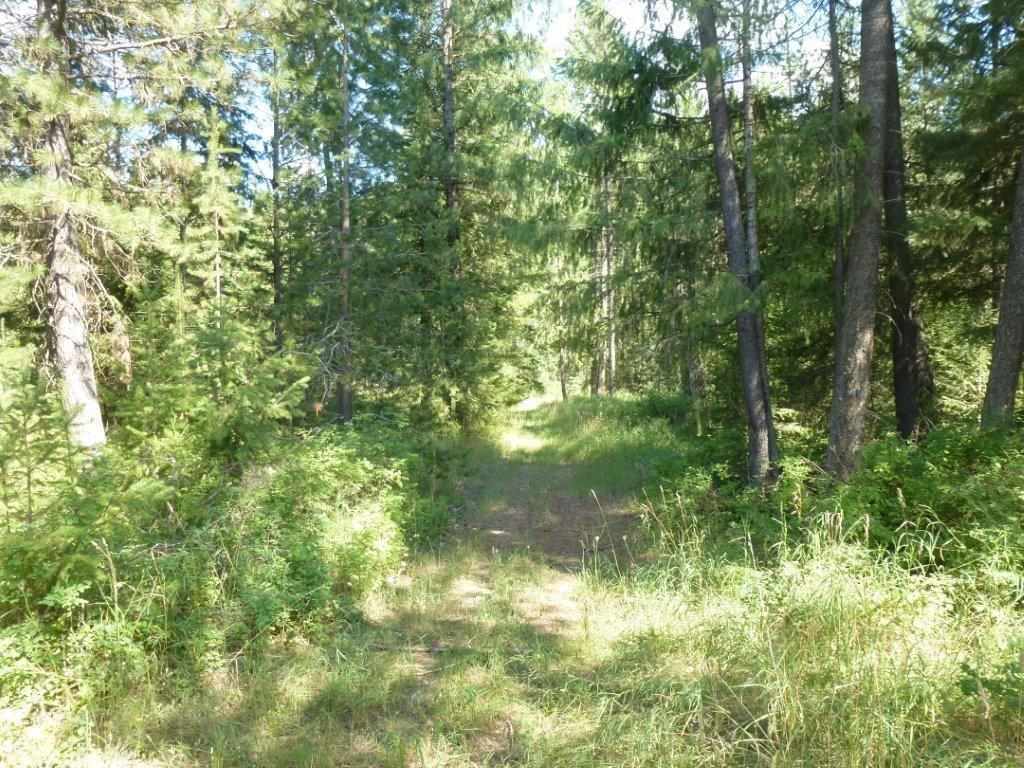 Lot A Sand Canyon Road Chewelah, WA 99109 - Photo 1 of 11