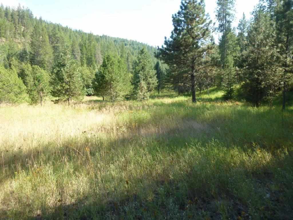 Lot A Sand Canyon Road Chewelah, WA 99109 - Photo 2 of 11