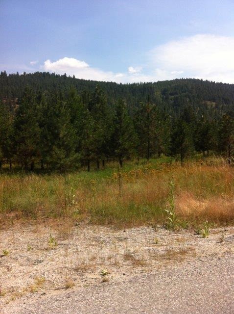 Lot A Sand Canyon Road Chewelah, WA 99109 - Photo 11 of 11