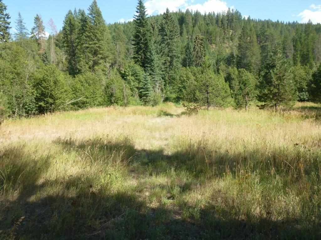 Lot A Sand Canyon Road Chewelah, WA 99109 - Photo 3 of 11