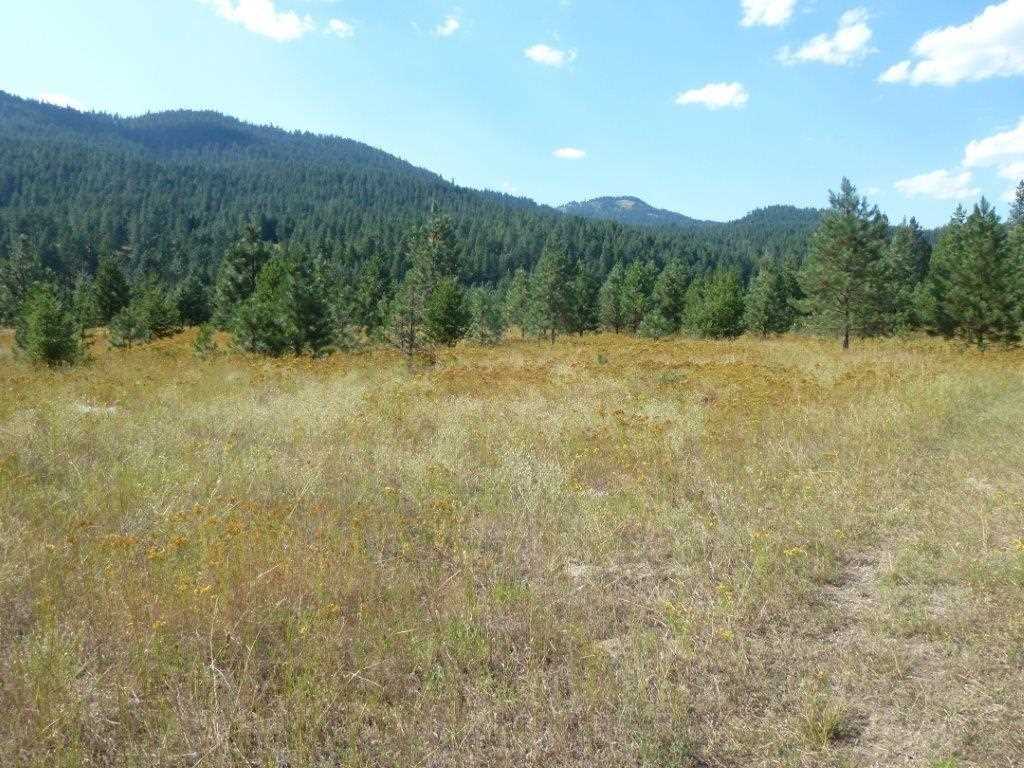 Lot A Sand Canyon Road Chewelah, WA 99109 - Photo 4 of 11