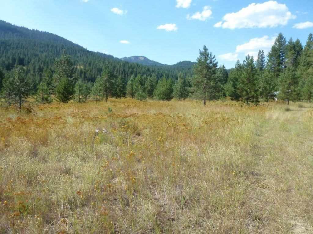 Lot A Sand Canyon Road Chewelah, WA 99109 - Photo 5 of 11
