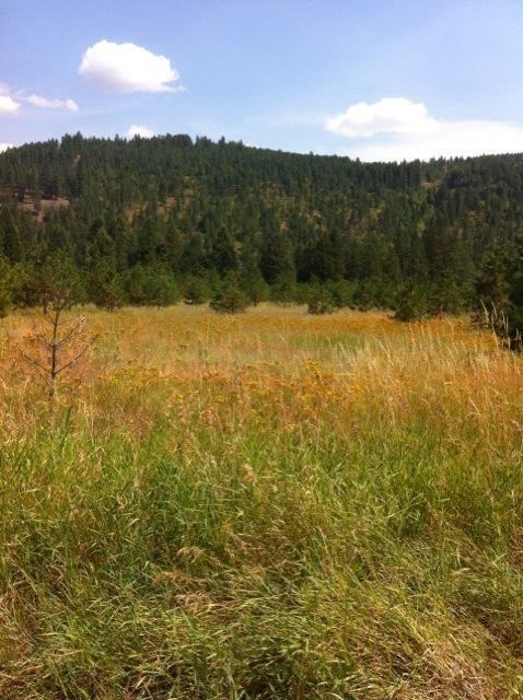 Lot A Sand Canyon Road Chewelah, WA 99109 - Photo 6 of 11