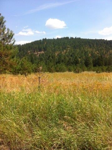 Lot A Sand Canyon Road Chewelah, WA 99109 - Photo 7 of 11