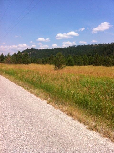 Lot A Sand Canyon Road Chewelah, WA 99109 - Photo 8 of 11