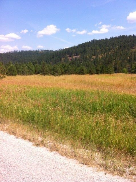Lot A Sand Canyon Road Chewelah, WA 99109 - Photo 9 of 11